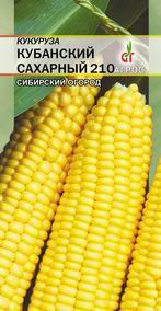 кукуруза Кубанский Сахарный 210